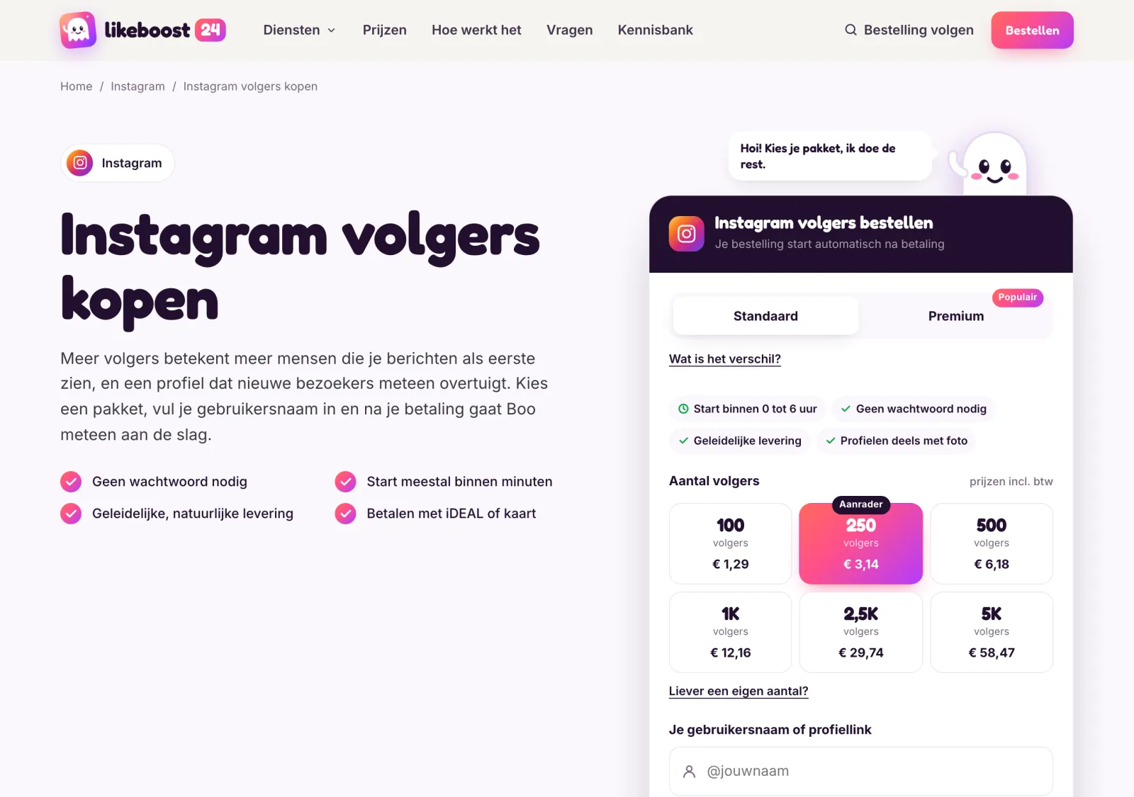 Bestelpagina voor Instagram-volgers, met de pakketten en de prijs per aantal